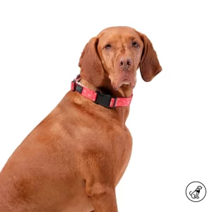Collar Ajustable Mylu Rojo Totto Pets